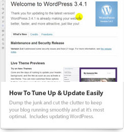 Tune Up WordPress Video