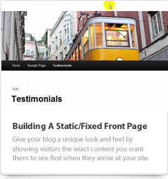 WordPress Static Front Page Video