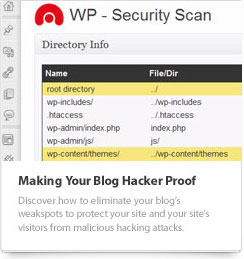 WordPress Security Video