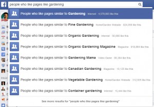 Facebook graph search example people who like pages